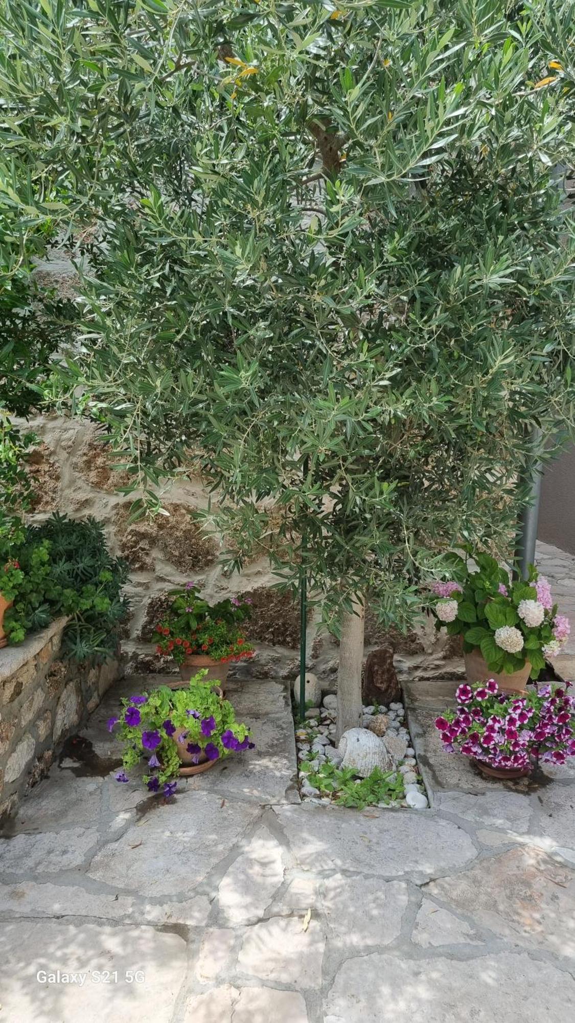 Paradise Stone Apartments Bol Dış mekan fotoğraf